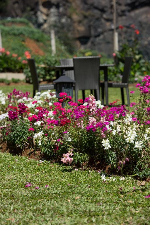 Serene Villa Nuwara Eliya Exterior foto